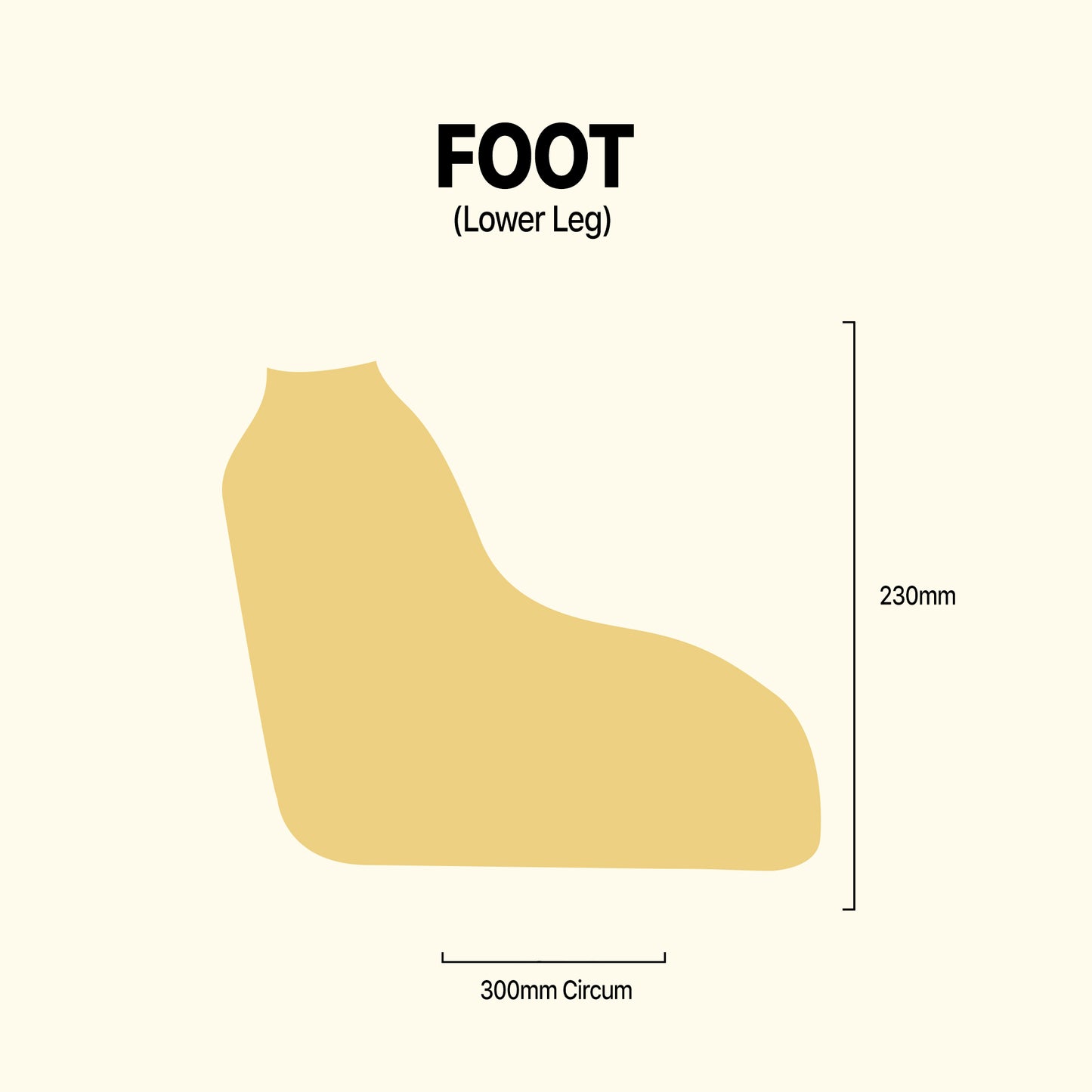 Foot